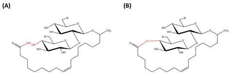 Molecules | Free Full-Text | Sophorolipids—Bio-Based Antimicrobial Formulating Agents for ...