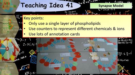 A Level Biology: Modelling the synapse teaching activity - YouTube