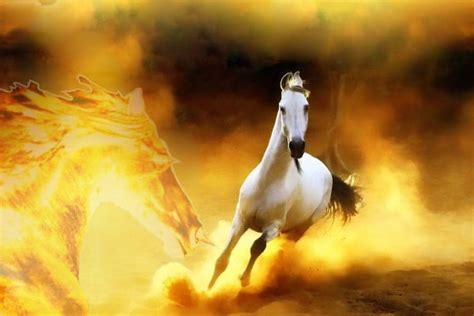 Horse Galaxy Wallpapers - Top Free Horse Galaxy Backgrounds - WallpaperAccess