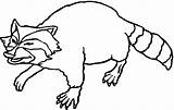 Raccoon Coloring Pages To Download And Print For Free sketch template
