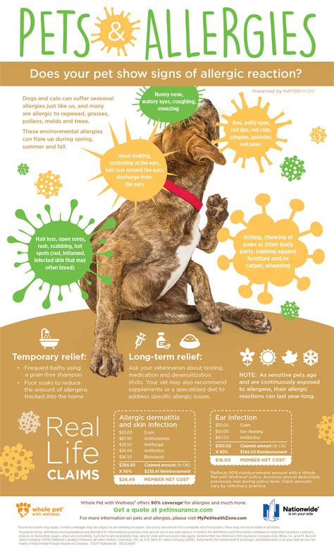 Pets and Seasonal Allergies | Pet Health Insurance & Tips