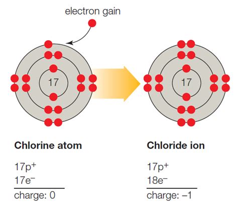 B. A chlorine atom (Cl) becomes a negatively charged chloride ion (Cl − ) when it gains an ...