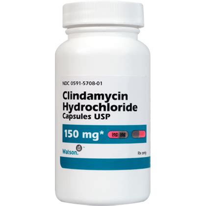 Clindamycin: Oral Antibiotic For Dogs & Cats - 1800PetMeds