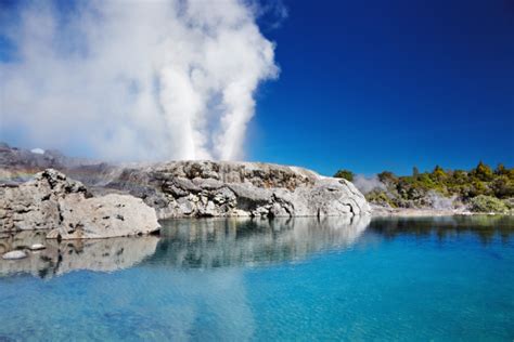 Pohutu Geyser - the largest geyser in New Zealand - QEEQ Blog