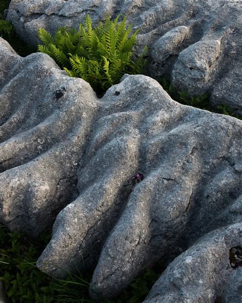 Andy Latham talks Limestone Landscapes | On Landscape