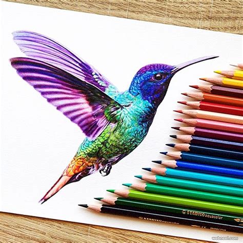 Kingfisher Color Pencil Drawing By Danstirling - Full Image