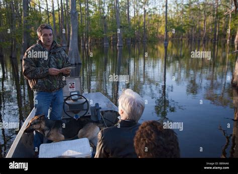 Swamp Tour in Atchafalaya Basin Stock Photo - Alamy