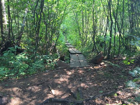 Eagle Mountain Trail in the BWCA