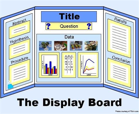 Designing the Display | Science fair projects boards, Science fair ...