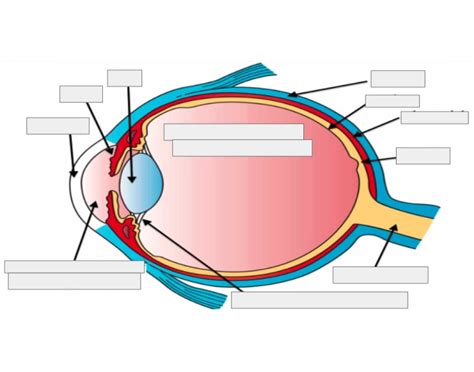 eye test Quiz