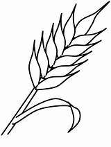 Crops Of Canada 1 Coloring Page  Free Printable Pages For Kids sketch template