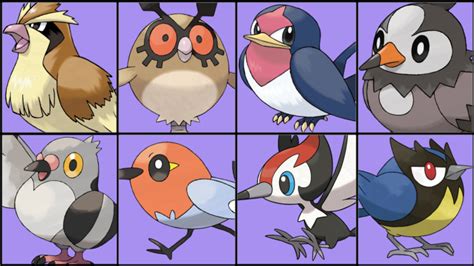 Bird Pokémon - A Comprehensive Guide to Feathered Wonders of the ...