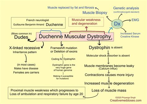 Duchenne muscular dystrophy illustrations - Creative Med Doses