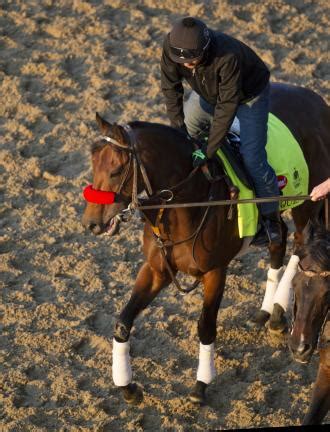 Nyquist wears the target in a Kentucky Derby filled with uncertainty