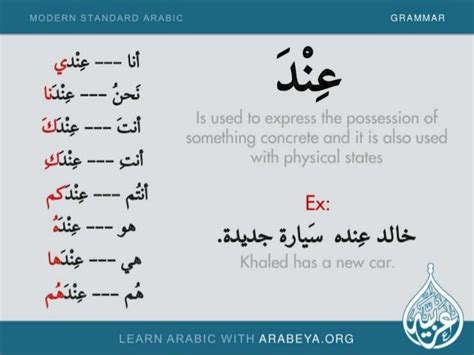 Modern Standard Arabic Grammar