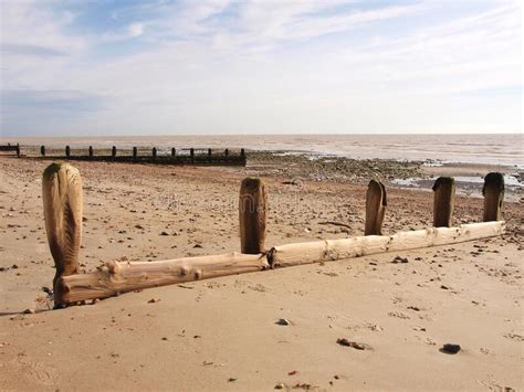 Sea groins stock image. Image of beach, defence, waves - 1593961