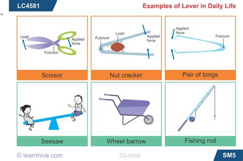 levers | Teacher learner, Simple machines, How to apply