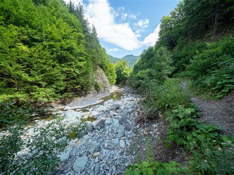 Tisita River Gorge, Vrancea Mountains, Romania Stock Image - Image of ...