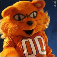 Sammy Bearkat- Sam Houston State University | Sam houston, Mascot, Kats