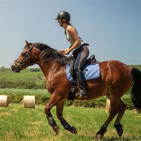 What to Wear Horseback Riding: Essential Tips and Tricks.