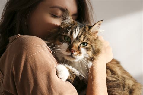 'Angel' Kitty Cuddling Owner While Being Spooned in Bed Goes Viral ...