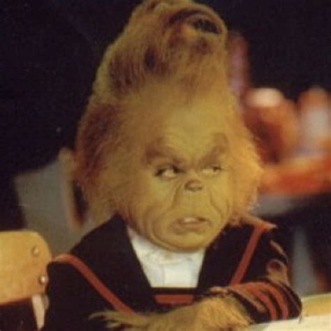 baby grinch | Humor, Grinch memes, Grinch