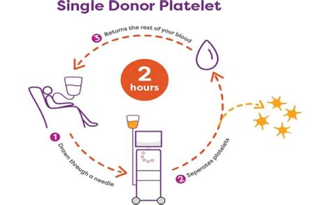 Platelet Donation