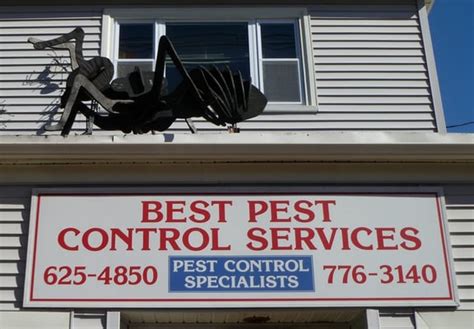 Pest control services near me - rilowow