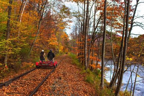 Catskills Fall Foliage 2024 - Dorri Germana