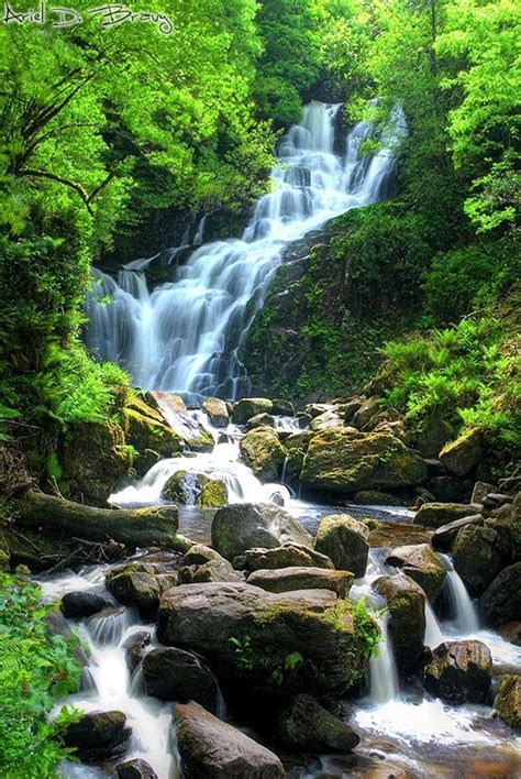 Torc Water Fall Killarney National Park | Waterfalls Cascade: Water descends a series of rock ...