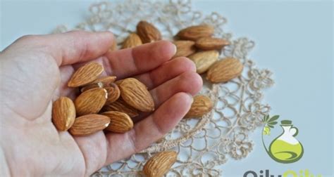 9 Easy Uses for Almond Oil - Oilypedia.com