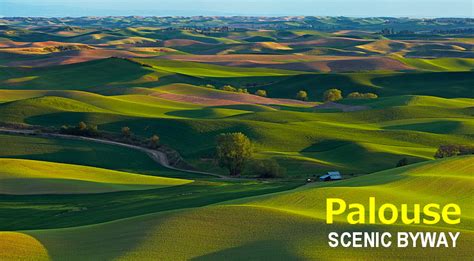 봄에 즐기는 펄루스 드라이브 (Palouse Scenic Byway) : 네이버 블로그