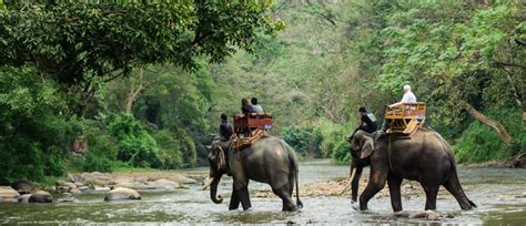 Nepal’s Best Destination for Wildlife Safari - Travel Wide Flights