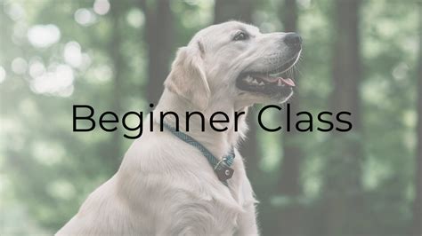 Classes - COMPANION DOG TRAINING SCHOOL