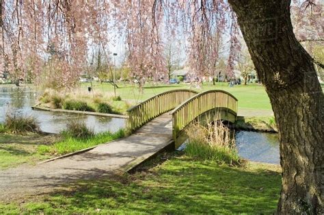 Cherry Trees And Bridge, Westmoreland Park, Portland, Oregon, Usa - Stock Photo - Dissolve