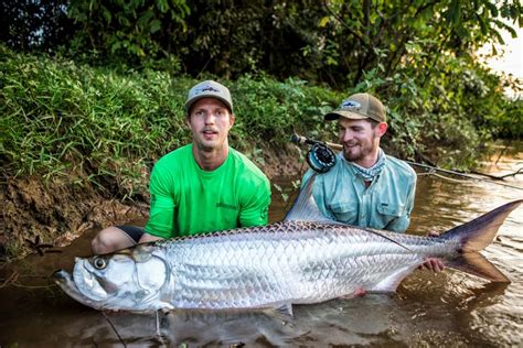 Jungle Tarpon Lodge | Fly Fishing | Costa Rica | Sportquest Holidays