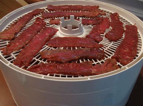 Dehydrator Easy Pressed Beef Jerky | Just A Pinch Recipes