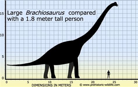 Top 10 Sauropods/Titanosaurs | Prehistoric animals, Dinosaur silhouette ...