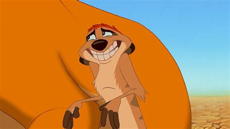 24 Facts About Timon (The Lion King) - Facts.net