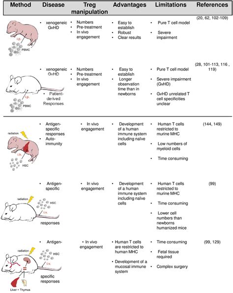 Humanized mouse models and their potential application in Treg research ...