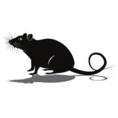 Rat silhouette clipart picture – Clipartix