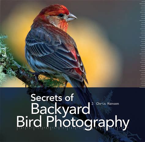 Secrets of Backyard Bird Photography