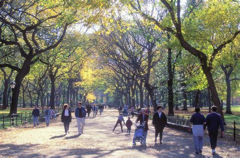 The Mall, Central Park, Manhattan, New York Photograph by Peter Bennett