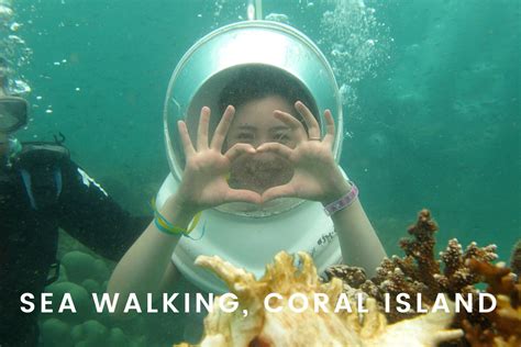 Coral Island Pattaya. Check out this 'Must Do' Day Tour in 2023