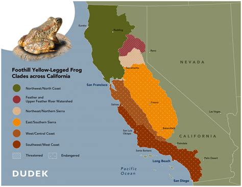 Foothill Yellow-Legged Frog Listing Finalized by CFGC | Dudek