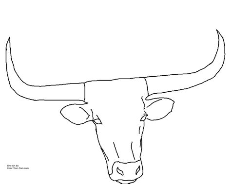 Longhorn Bull Drawing at GetDrawings | Free download