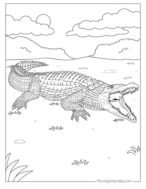 Coloring Pages Of Crocodiles