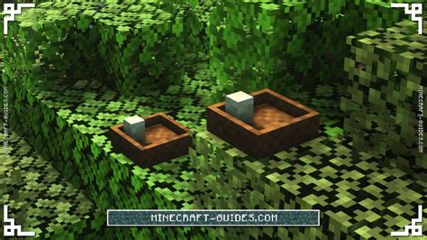 Minecraft: Exotic Birds Mod Guide & Download - Minecraft Guides Wiki