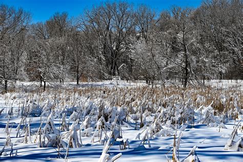 Winter's Last Hurrah | Perhaps. Fort Snelling State Park | dshaw997 Shaw | Flickr