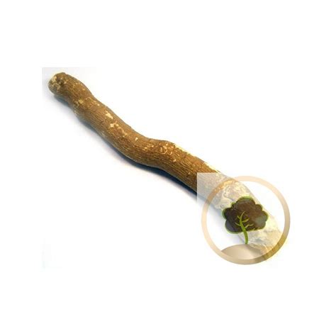 Buy our Miswak Stick best quality lower price